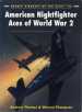 American Nightfighter Aces of World War 2 cover image