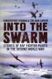 Into the Swarm: Stories of RAF Fighter Pilots in the Second World War cover image