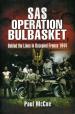 SAS Operation Bulbasket: Behind The Lines in Occupied France, 1944 cover image